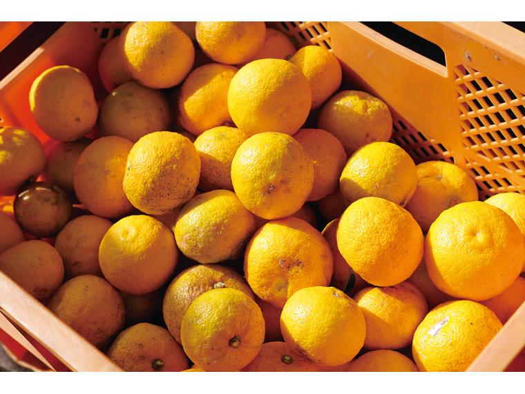 有機ぽん酢しょうゆ 250ml