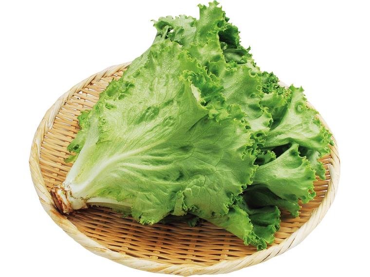 有機リーフレタス 1株