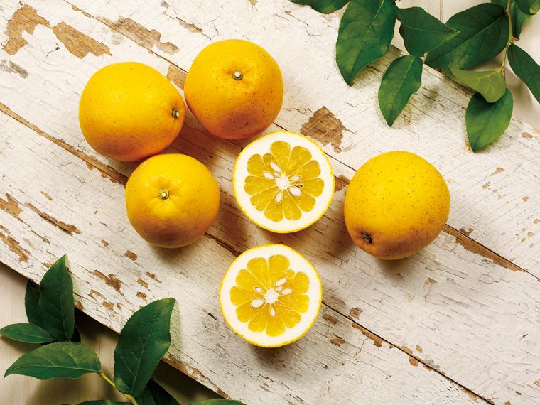 木成り河内晩柑 700g（2〜3玉）（S〜2L）