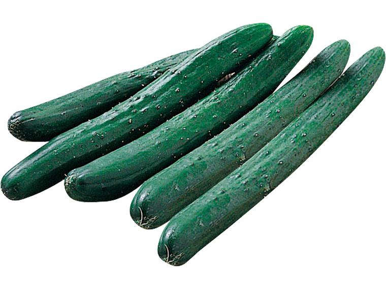 徳用ブルームきゅうり 5本（曲がり込み）