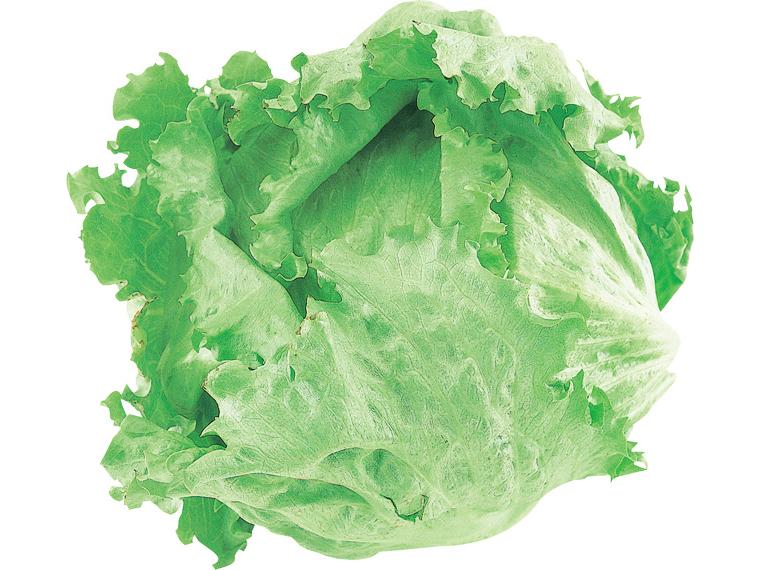 無無レタス 1玉