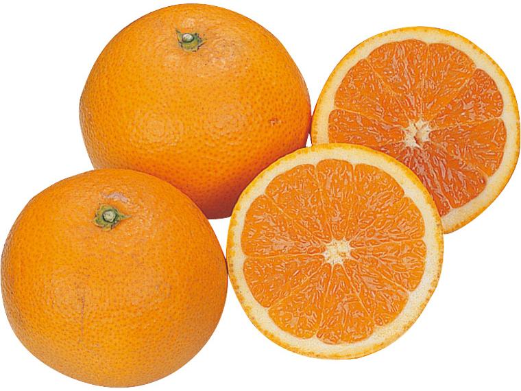 木成り清見オレンジ７００ｇ（３～５玉）