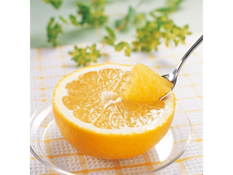 木成り河内晩柑 1.4kg（4〜6玉）（S〜2L）