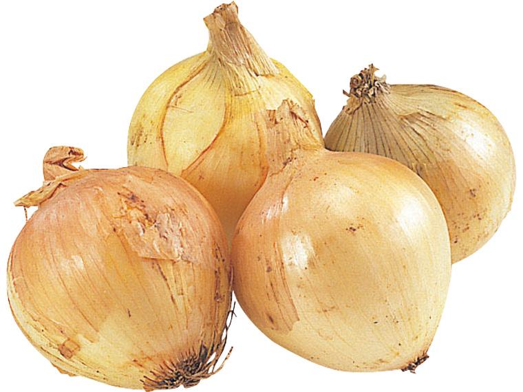 玉ねぎ 500g