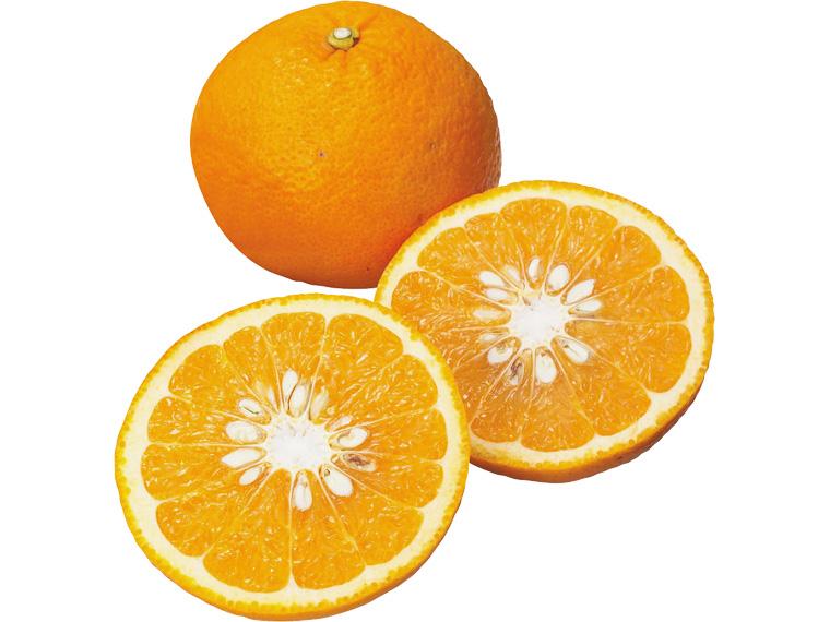 甘夏 800g（2〜4玉）（S〜3L）