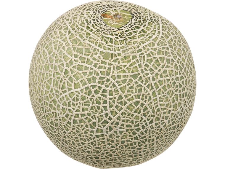 クインシーメロン 2L1玉（800g）