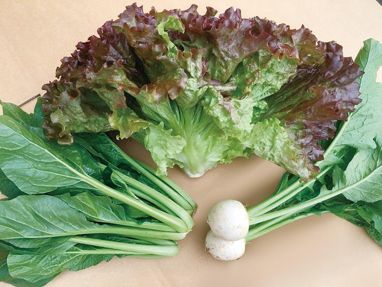 グットファームの有機野菜セット 3種