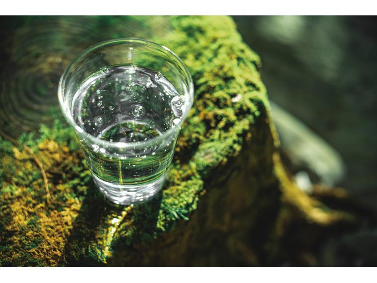 ただの炭酸水・天然水使用（ペットボトル） 500ml×24