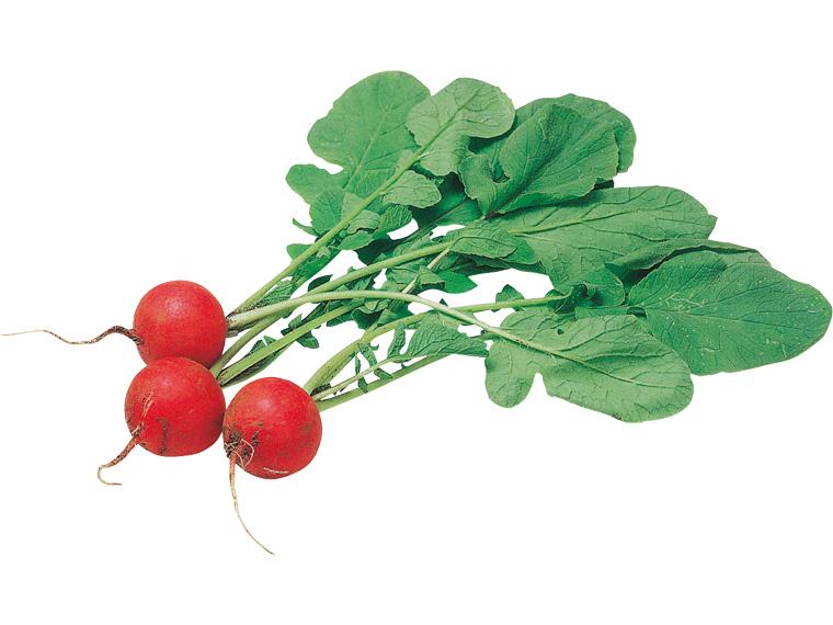 有機ラディッシュ 100g(3〜7玉)