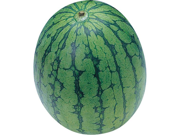 小玉すいか（小） 1玉（900g）（S〜M）
