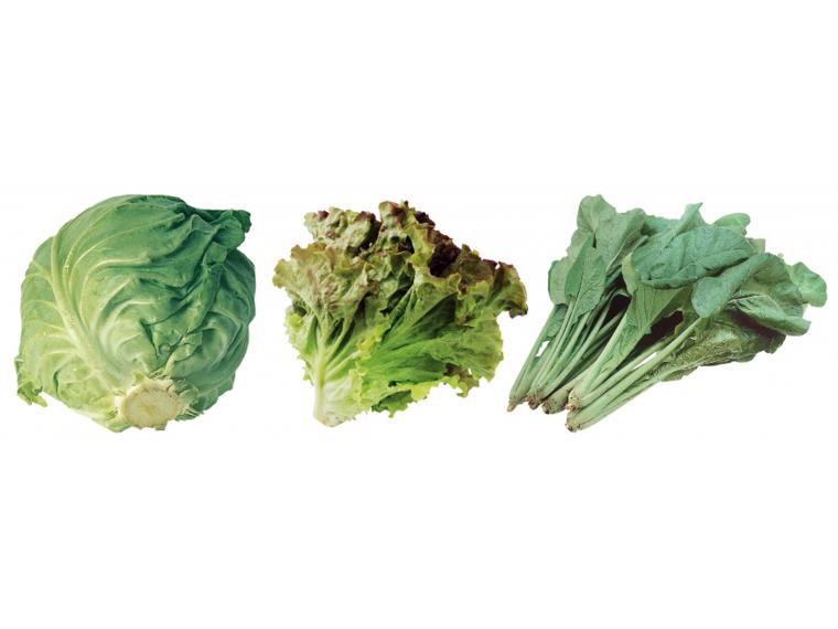 くらぶち草の会みのり野菜セット 3種