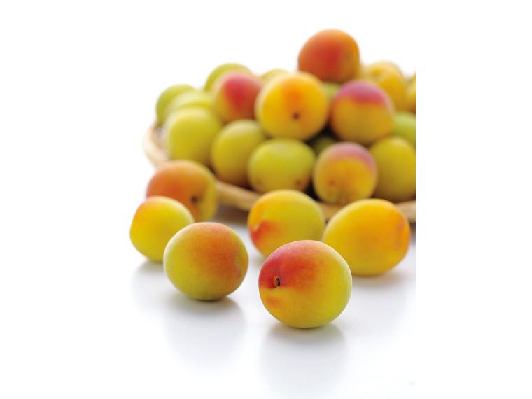 梅干し用梅(南高梅) 1kg（L〜3L）