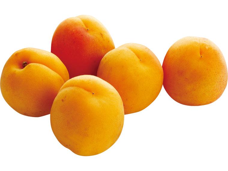 あんず（加工用） 500g