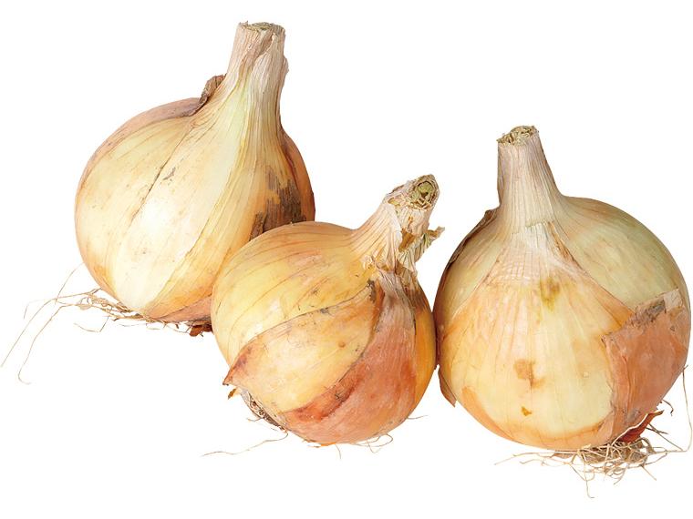 米の精　根付き玉ねぎ 500g