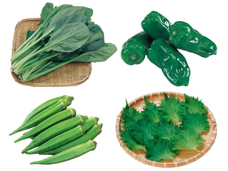 房総食料センターの野菜セット 4種