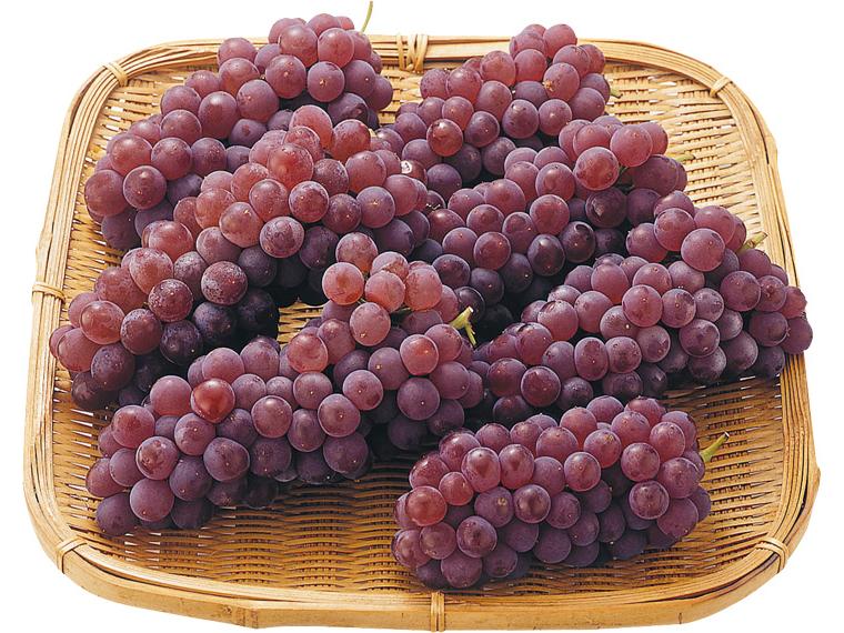 徳用ぶどう(デラウエア) 800g