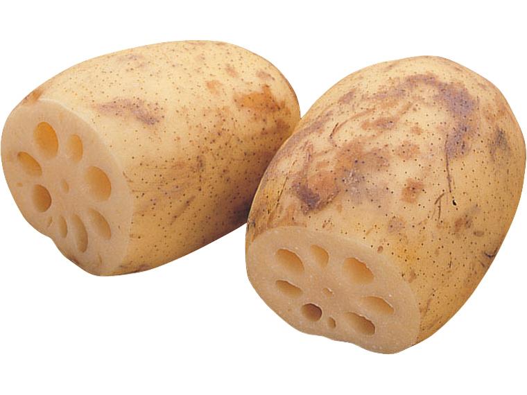 れんこん 200g+100g