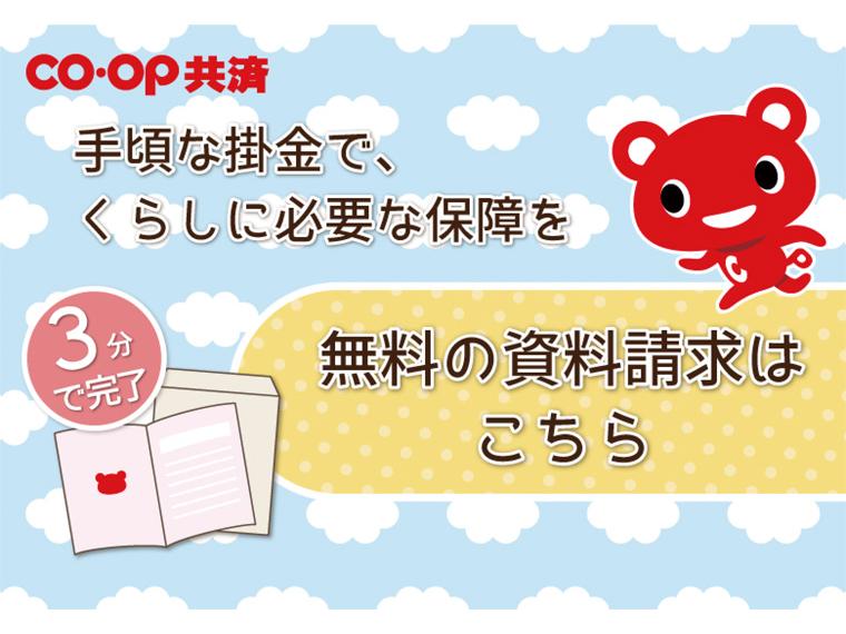 たすけあい・あいぷらす・ずっとあい資料