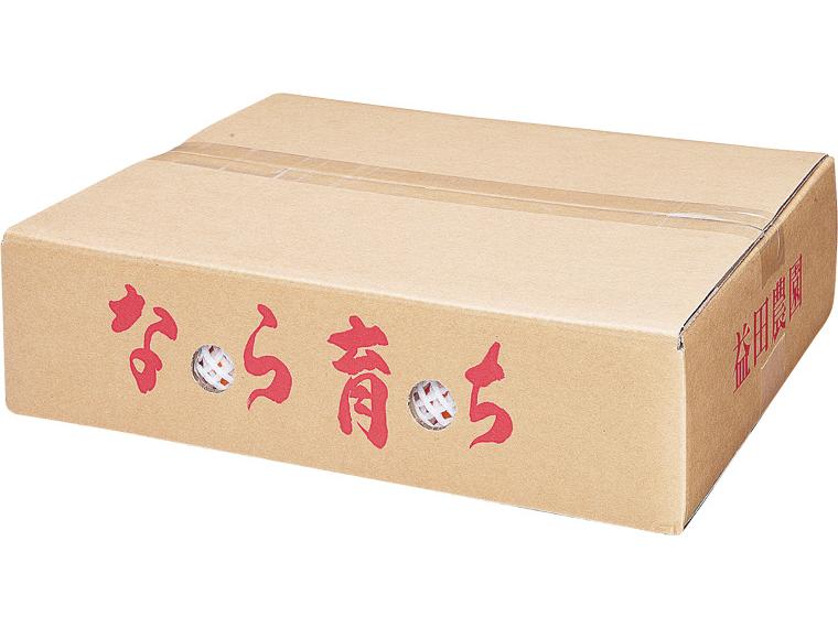 予約　奈良五條の柿 ３ｋｇ箱（１４〜１８玉）