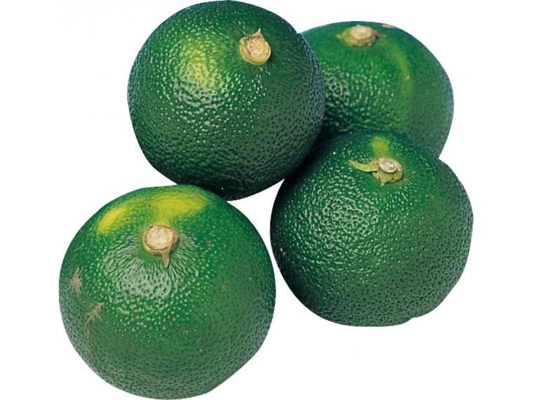 すだち 100g（4〜6玉）