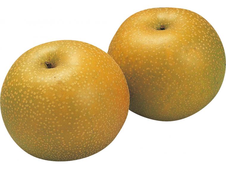 梨（幸水）２玉（６００ｇ）　　　　　　