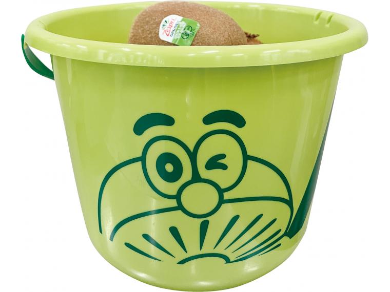 ニュージーランド産有機グリーンキウイフルーツ（バケツ入） 1ｋｇ（9〜12玉）