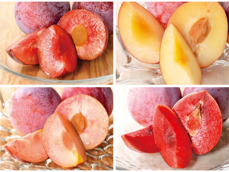 プラム（品種おまかせ） 450g（4〜8玉）