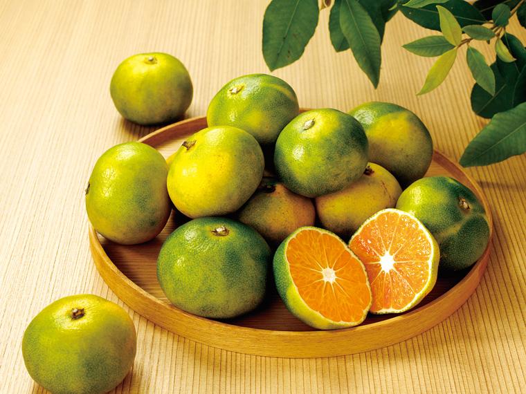 大矢野（熊本）極早生みかん（大袋） 1.2kg（2S〜L）