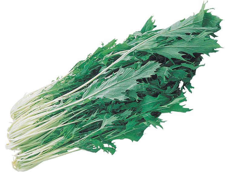 【企画中止】みず菜１５０ｇ 150g