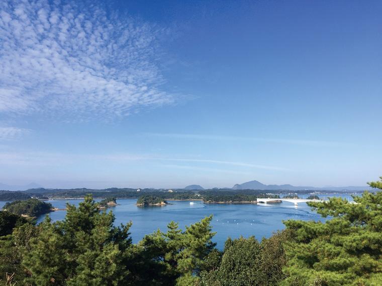 大矢野(熊本)極早生みかん（箱規格） 2.5kg箱（2S〜L）