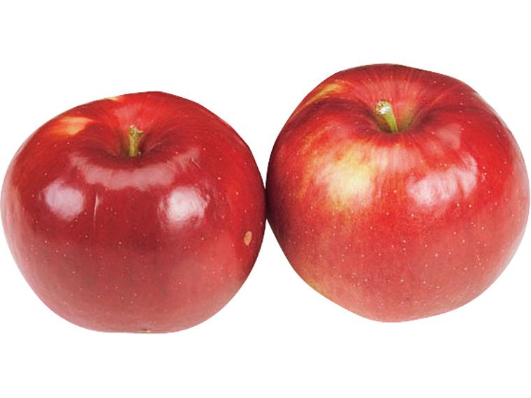 りんご(紅玉) 600g（2〜4玉）
