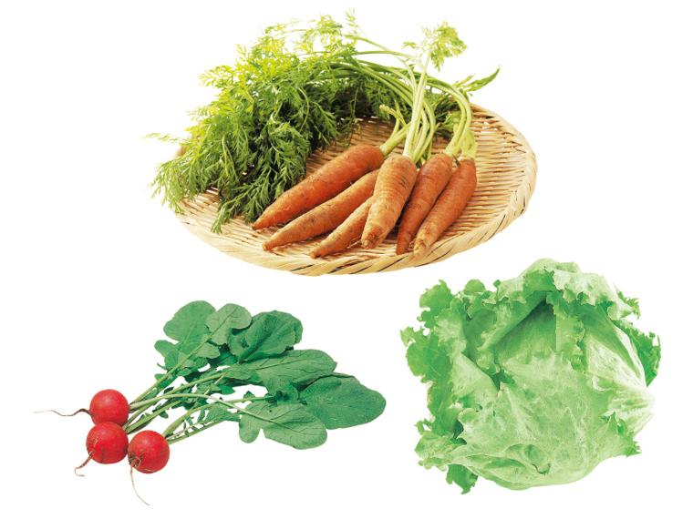 登録　皮ごと丸ごと　やさとの有機野菜セット【4回】（受付） 3種