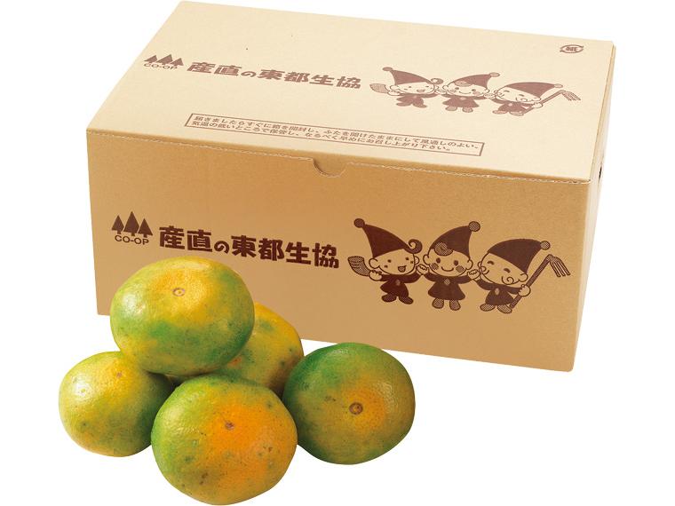 紀ノ川(和歌山)極早生みかん（箱規格） 2kg箱（2S〜L）