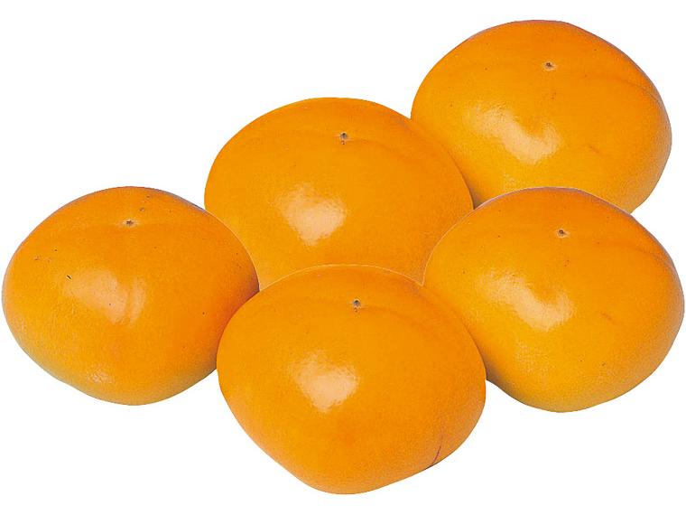 柿(たねなし)大袋 1.2kg（5〜8玉）