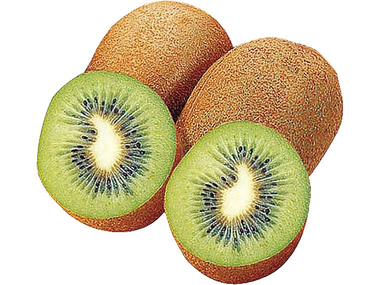 ニュージーランド産有機グリーンキウイフルーツ 300g（3〜4玉）