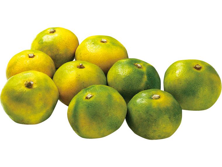 極早生みかん（大袋） 1.2kg（2S〜L）