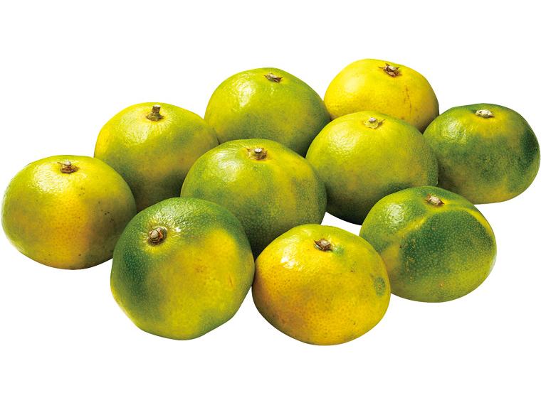 保内(愛媛)極早生みかん 1kg（2S〜L）