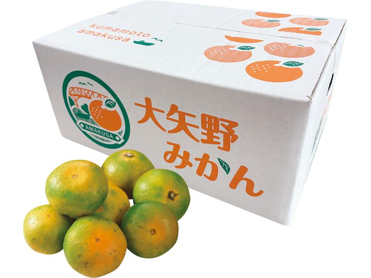大矢野(熊本)極早生みかん（箱規格） 2.5kg箱（2S〜L）
