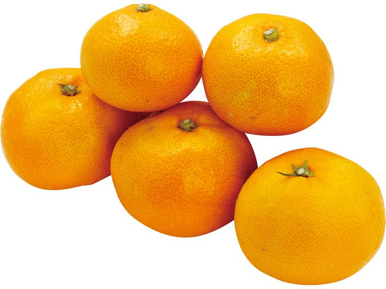 糖度保証　ゆら早生みかん５００ｇ　　　