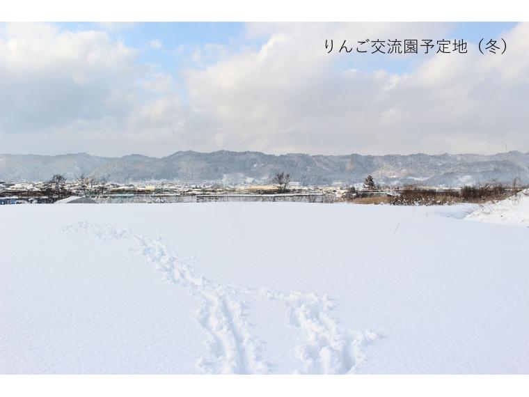 未来につなぐりんごの木（募集）