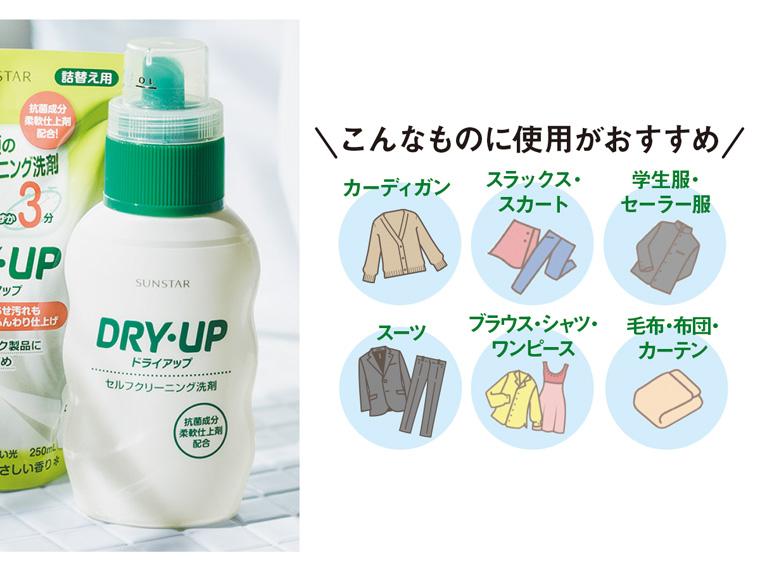ドライアップ  本体 300ml