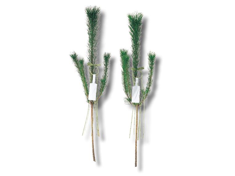 門松一対 輪飾りセット 