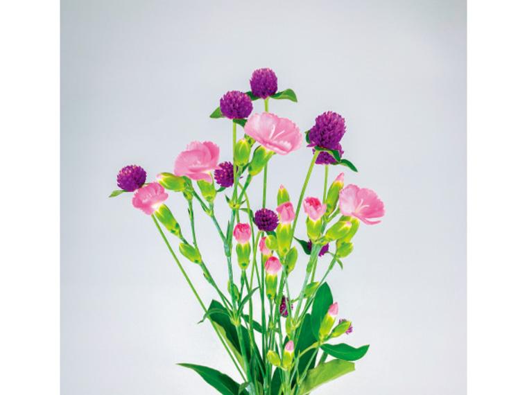季節の花束(センニチコウ)  4本