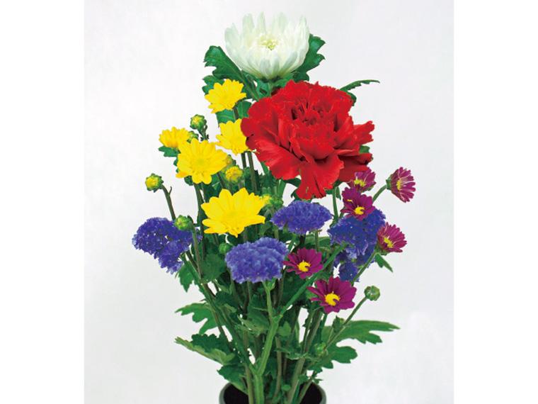 お供え和花  5本 