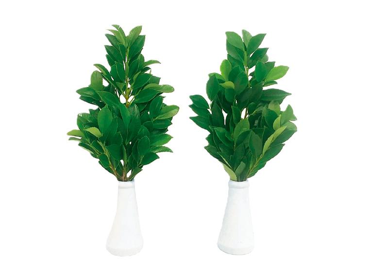 国産榊  1束(2〜3枝)×2