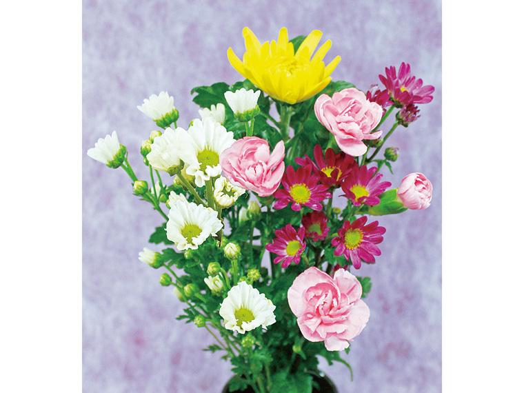 お供え和花  4本 