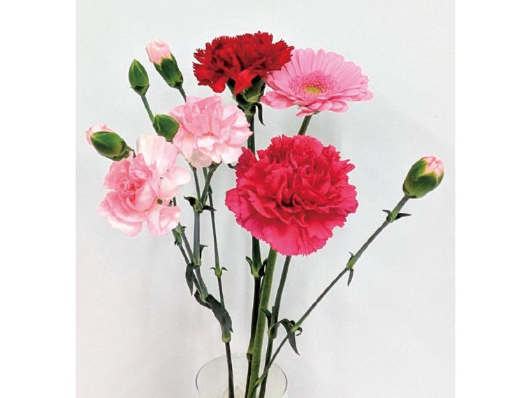 カーネーション  4本 