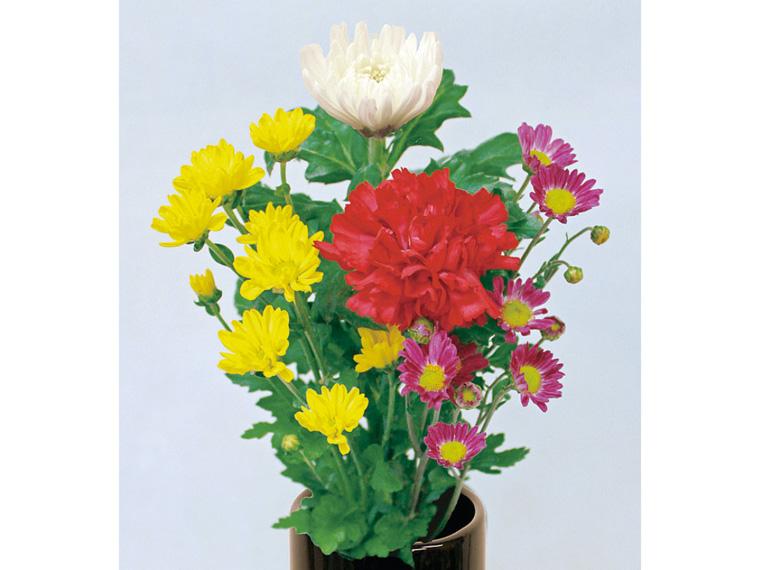 お供え和花  4本 