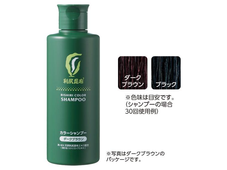 利尻カラーシャンプー 200ml  ブラック 
