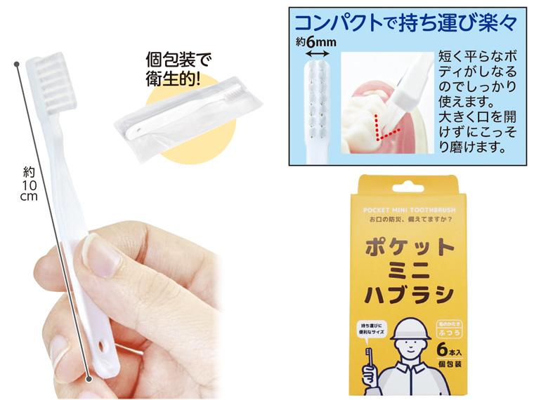 ポケットミニハブラシ　６本入　　　　　